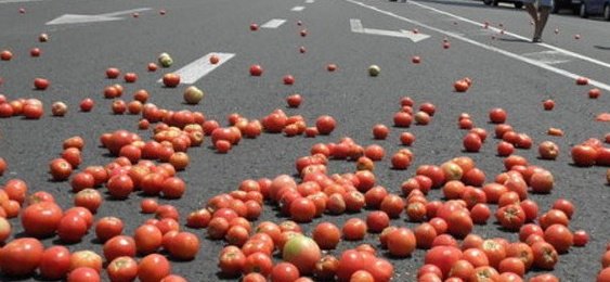 производители плодове зеленчуци протестират дунав мост