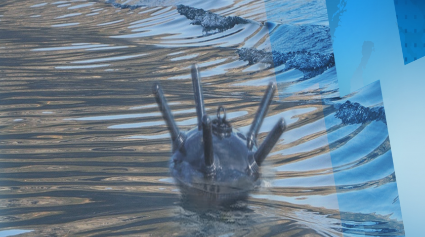 Турски екипи обезвредиха плаваща мина край Босфора. Това стана дни