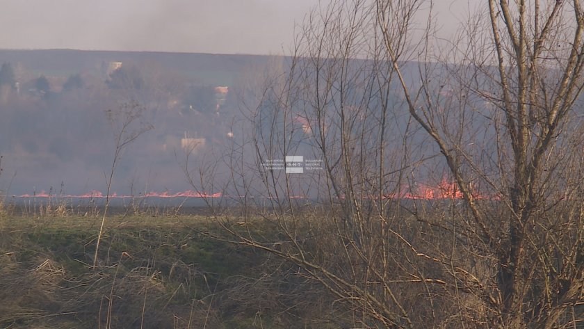 Пожар в защитена местност изпепели 3000 дка край с. Нова Черна (СНИМКИ)