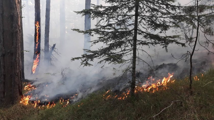 засилва контролът опазване пожари забранено паленето стърнища