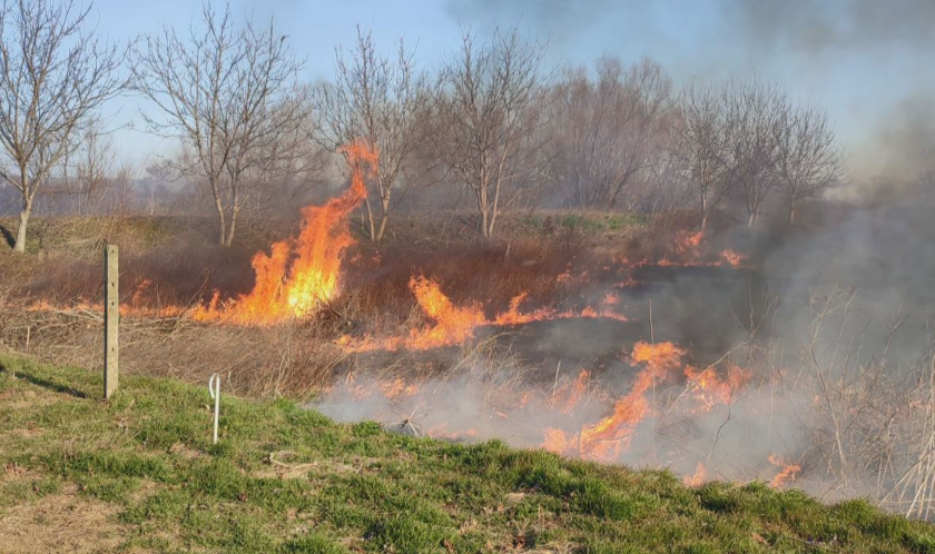 Кой пали пожарите в защитената местност "Калимок-Бръшлен"?