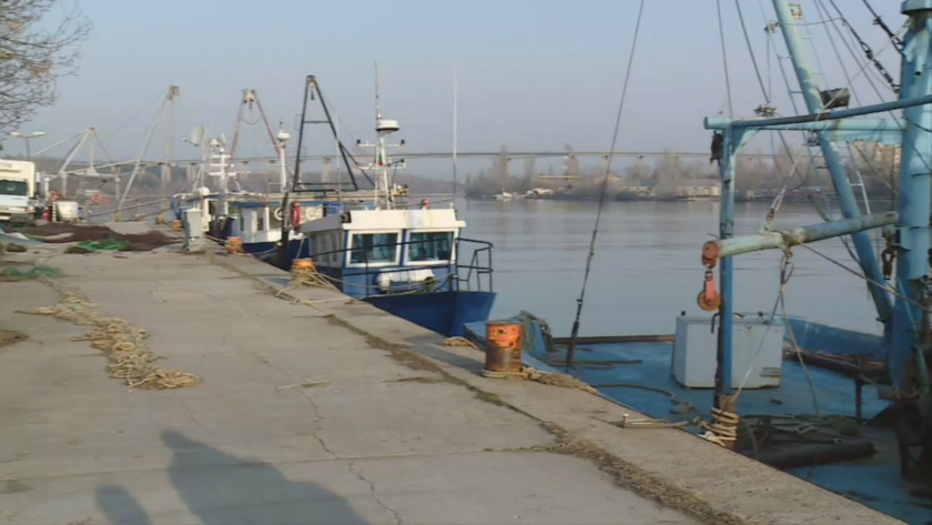 Рибари от Варна искат уловът в Черно море да бъде