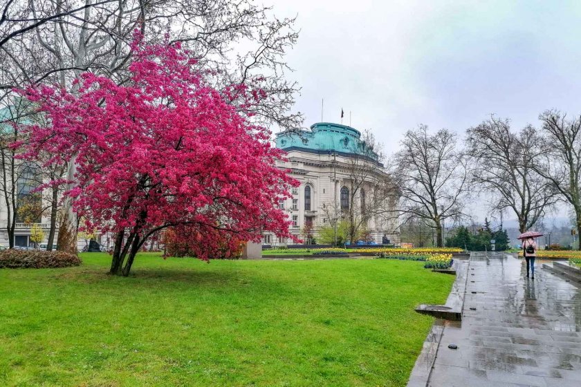 Минималната температура в Пловдив, Стара Загора и София е минус