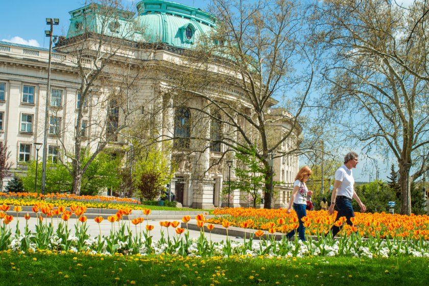 От 5% до 15% по-високи такси за кандидатстване и обучение