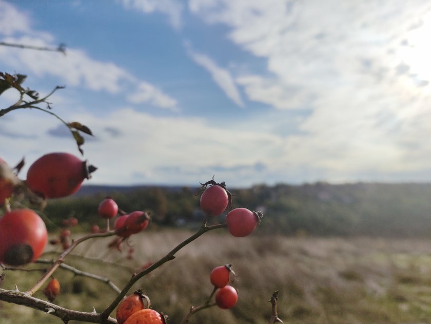 Валежи и гръмотевици се очакват в Източна и Централна България следобяд