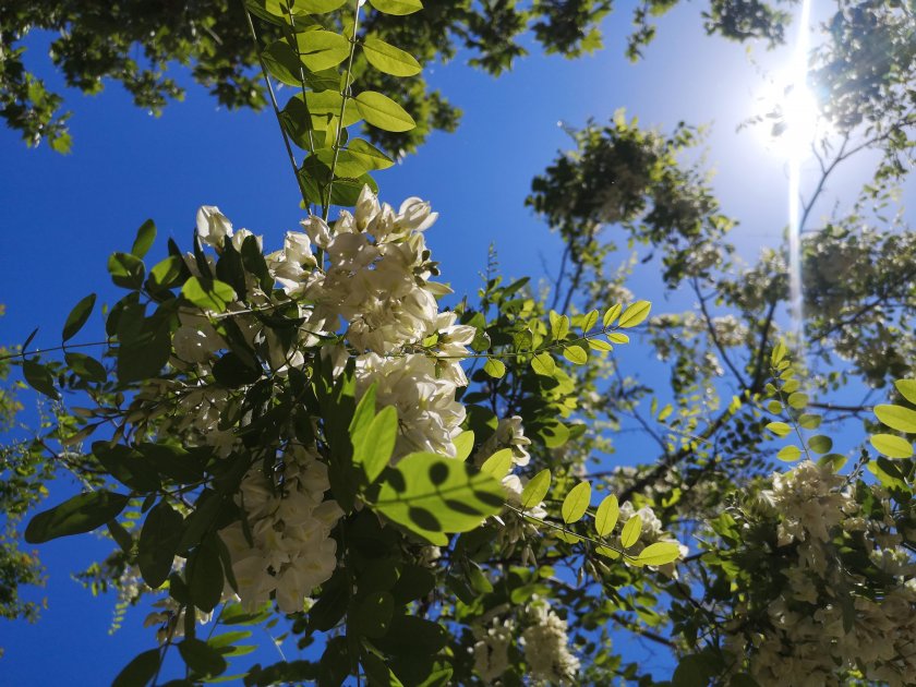 В следобедните часове ще бъде слънчево, с повече облаци в