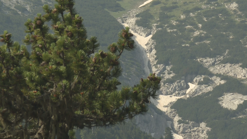 Опитни планинари от Банско, Разлог и Добринище излизат на опасни