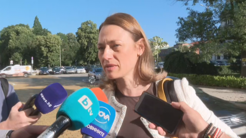 Ива Митева за вота на недоверие: Многократно сме казвали, че има проблеми във финансовата политика на правителството