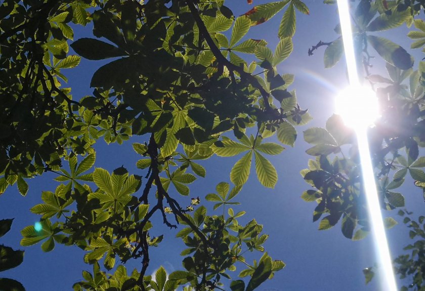 Максималните температури днес ще бъдат между 28&deg; и 33&deg;, в