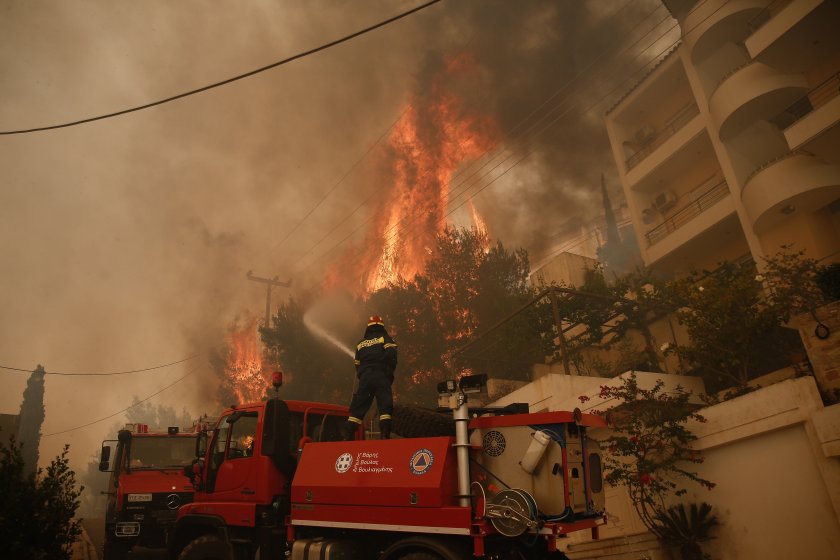 Общо 52 горски пожара са избухнали през последните 24 часа