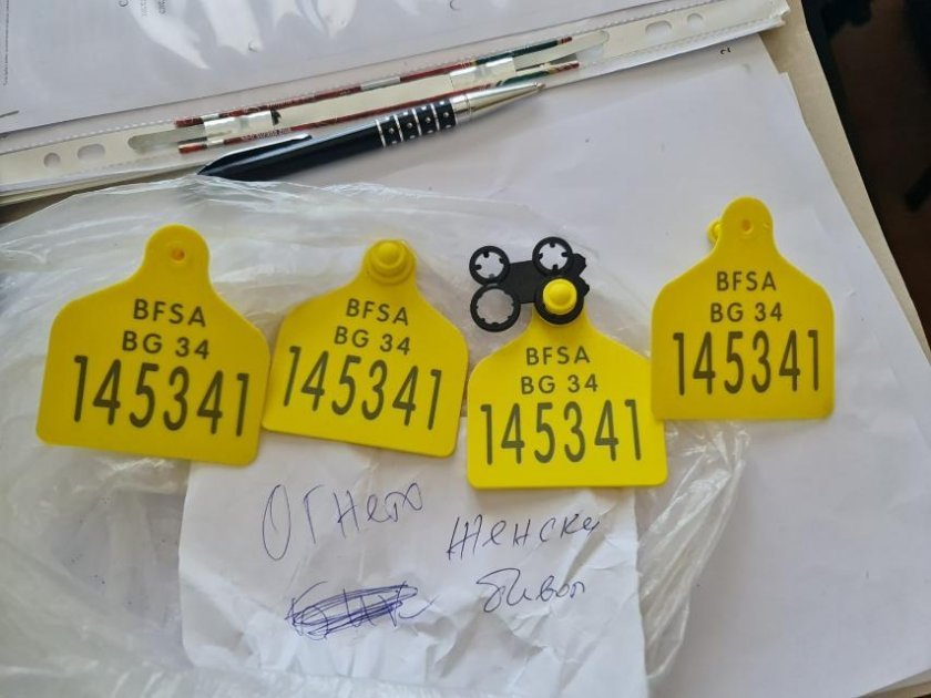 Как земеделски чиновници източиха повече от половин милион лева в Петрич