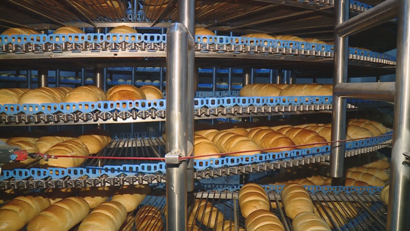 Проучване на КНСБ: С колко поевтиня хлябът след въвеждането на нулев ДДС?