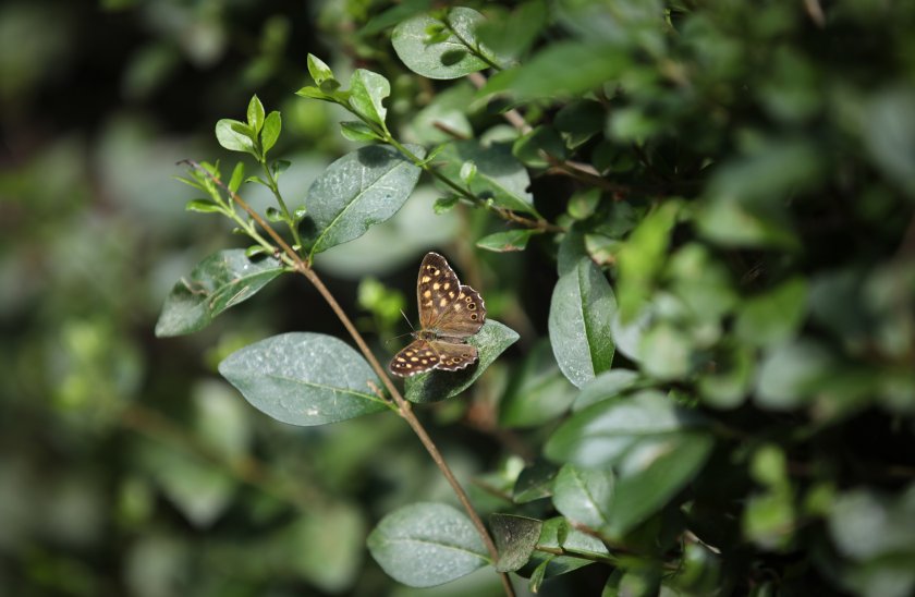 Рекордно ниски температури в котловините на Западна България регистрираха метеоролозите