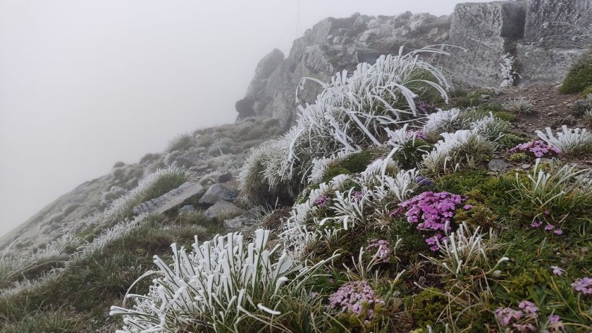 Рекордно ниски температури в котловините на Западна България регистрираха метеоролозите