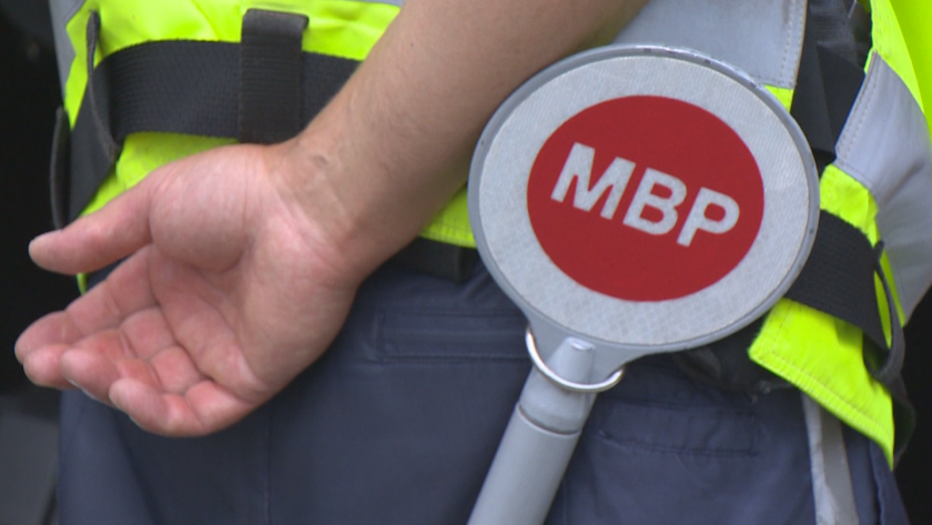 Плевенчанката, шофирала крадена кола с 3.77 промила, е била осъждана три пъти