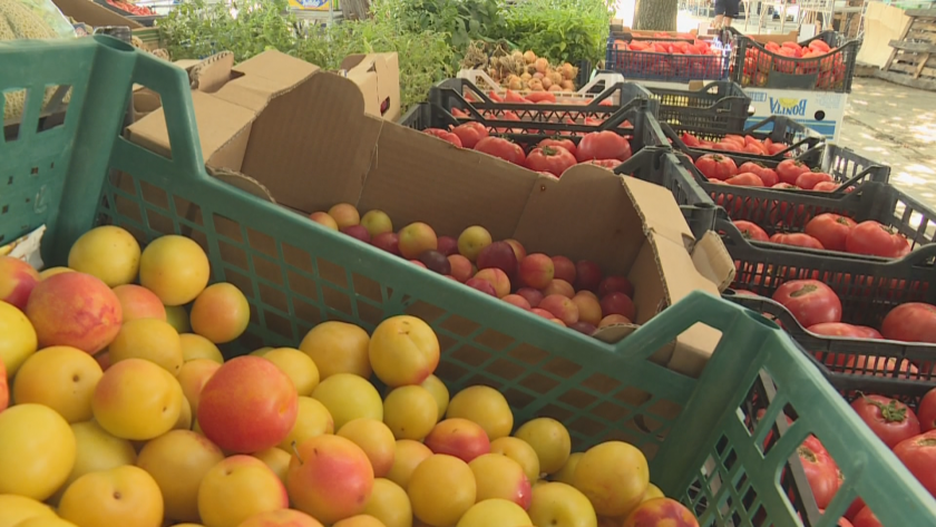 Земеделски производители от Петричко се оплакват от слаби продажби в началото на лятото