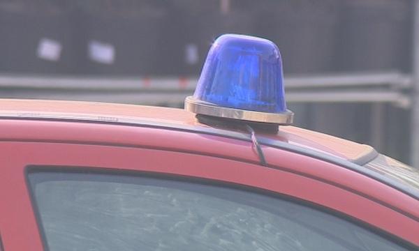 Борова гора се запали край Полски Тръмбеш. Огънят вече е