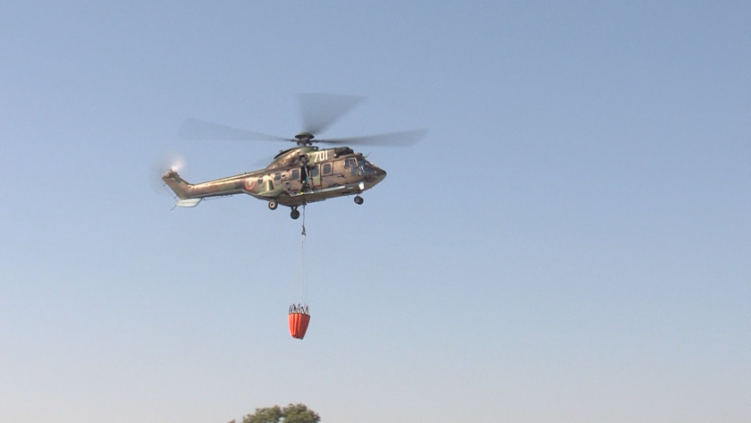 Продължава гасенето на пожара, който обхваща над 1000 декара борова