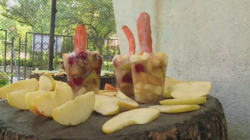 Във Варна днес заради жегите раздават ледени близалки на животните