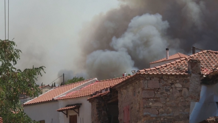 Гръцките пожарникари се борят с множество огнища на полуостров Пелопонес