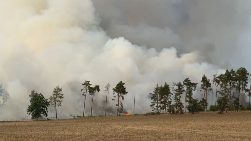 стотици евакуирани заради горски пожари източна германия