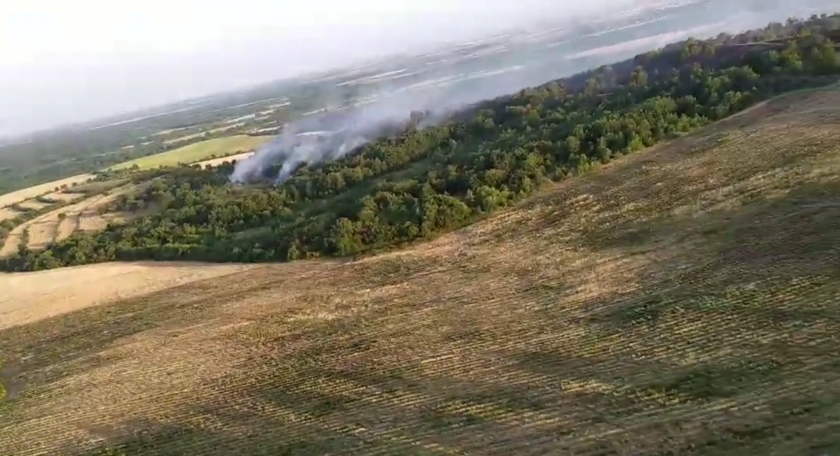 пожар гори землището община калояново