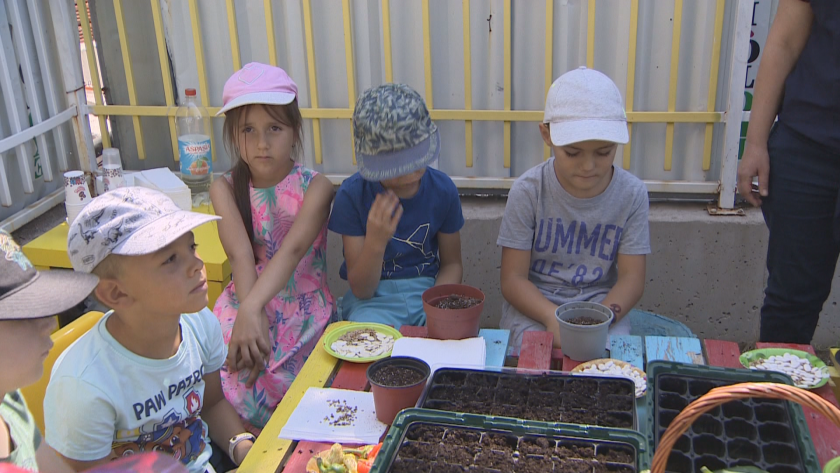Във ваканционното време родителите са изправени пред сериозен въпрос -