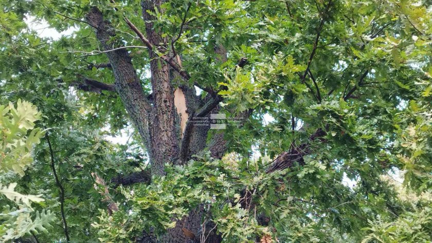 Момичето, ударено от мълния в Приморско, е с опасност за