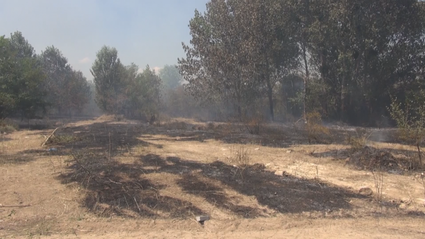 Обявиха частично бедствено положение на територията на Община Раднево. Пожар