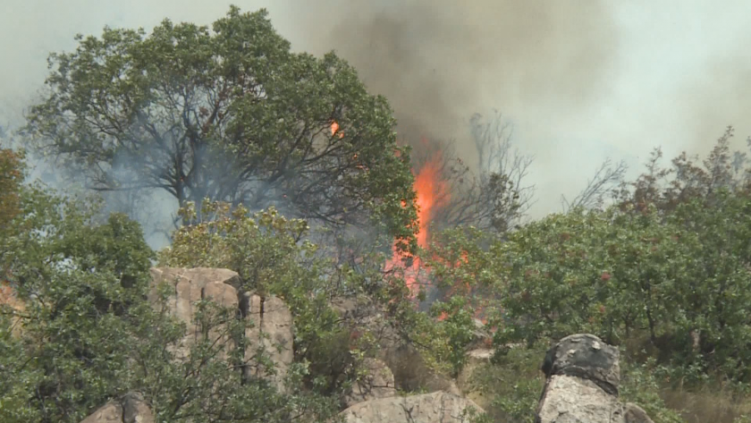 Голям пожар обхвана Младежкия хълм в Пловдив. Пресеченият терен и