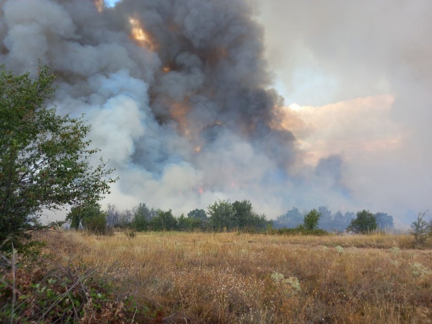 Пожарът край панагюрското село Елшица е локализиран, съобщиха от притовопожарната