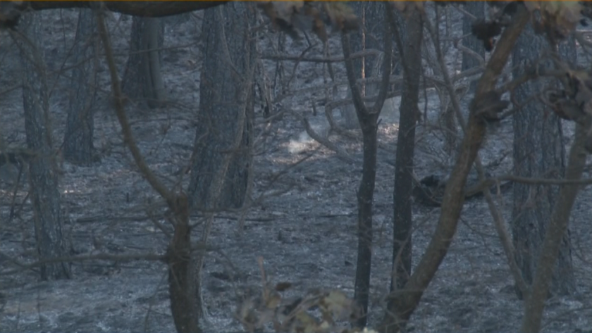 Локализиран е пожарът в Кресненското дефиле