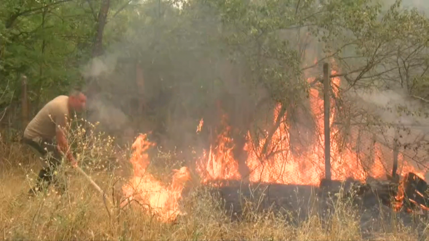 Пожари вилнеят на няколко места в страната. Горски масив гори