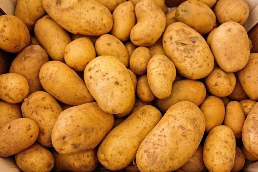 100 скок цената картофите очакват производителите