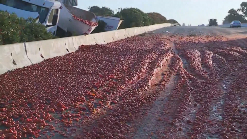 Камион, натоварен с огромно количество домати, се обърна на магистрала