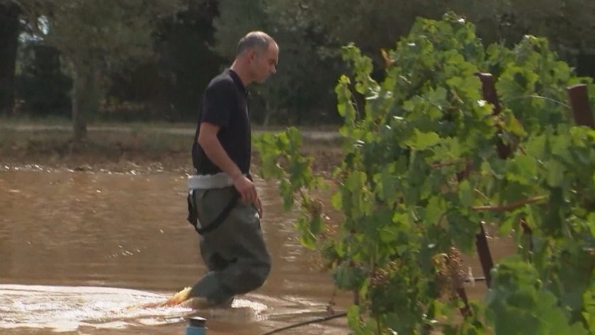 Наводнение прекъсна гроздобера в южна Франция. Страната беше обхваната от