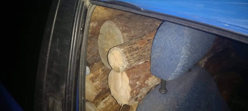 Служители на Горското предприятие в Дупница са реагирали на сигнал