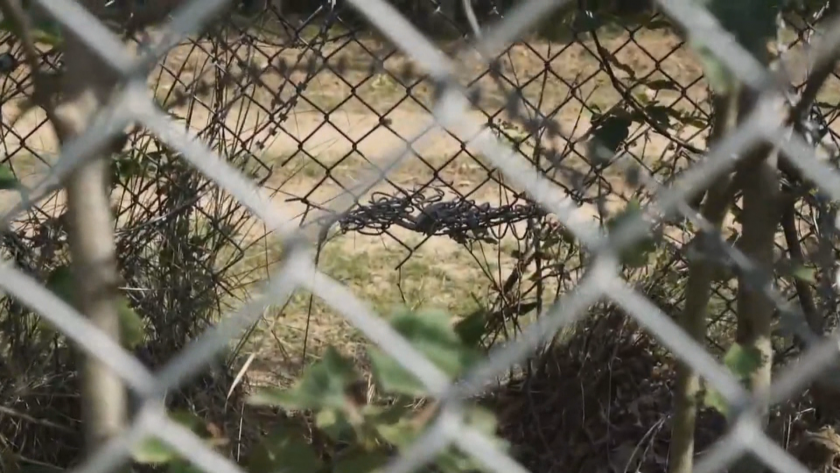 Ексклузивно: Маршрути за трафик на мигранти през България се рекламират в социалните мрежи