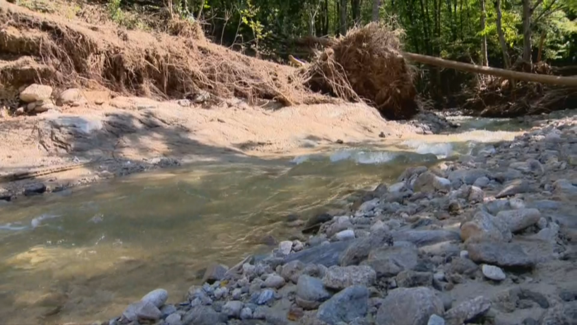 След проверката: Временно се спират сечите около засегнатите от наводнението села