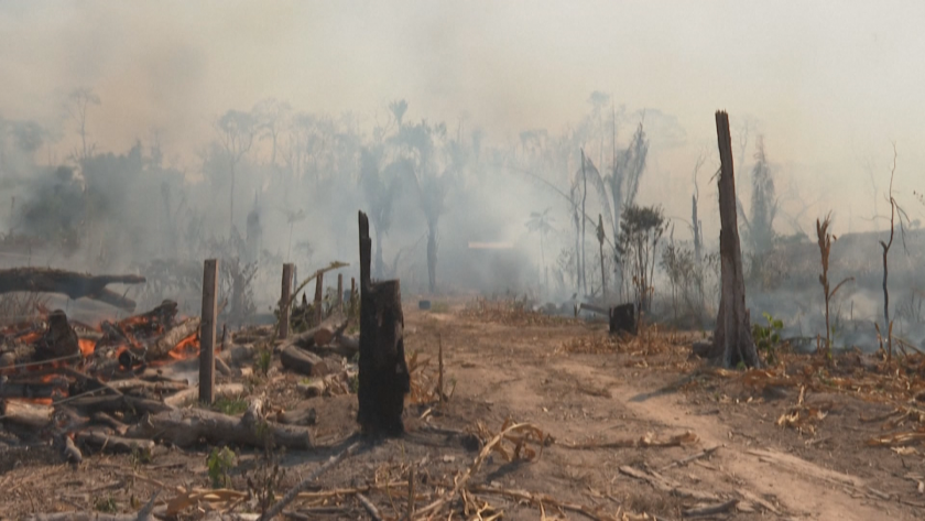 Горещите вълни и горските пожари ще стават по-чести, по-интензивни и