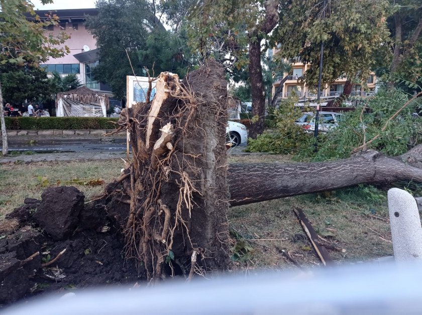 Поморие остава без ток след разразилата се вчера силна буря,