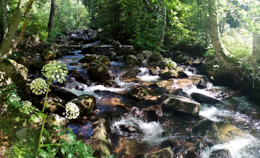 След слънчевото начало на деня, в близките часове ще се
