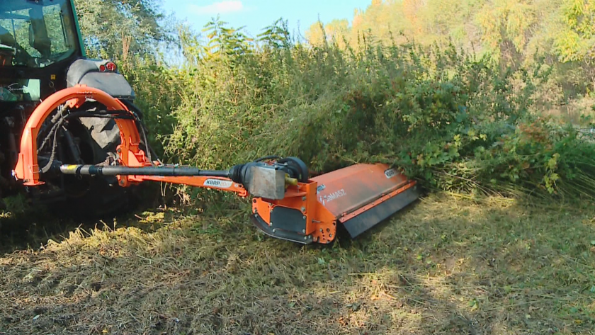 Започна разчистването на Марица край Пловдив