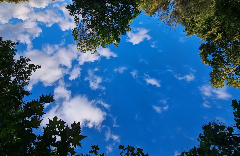 Днес максималните температури бяха между 19 и 24 градуса. Утре