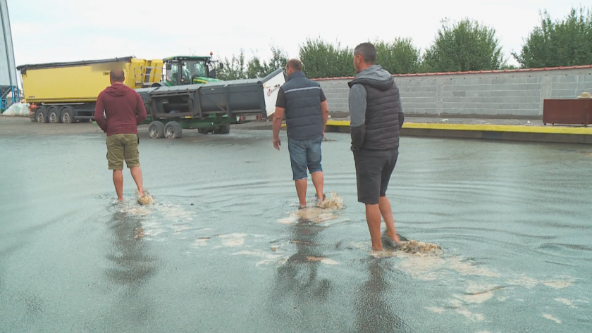 До края на годината държавата ще изплати обезщетенията на земеделските