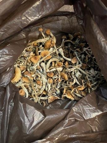 Специализираната полицейска операция за противодействие на престъпленията, свързани с наркотици,