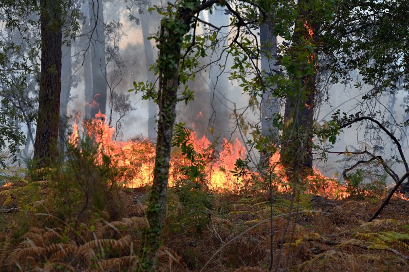 горски пожари югозападна франция наложиха евакуация 1000 души
