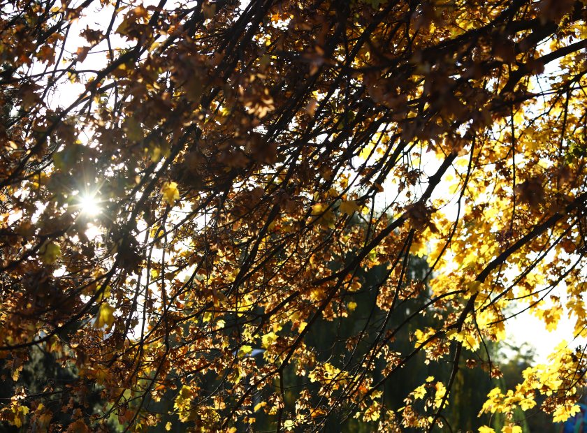 Ще бъде предимно слънчево. Сутринта на места в източните райони,