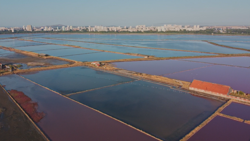 Бургаските солници са изправени пред сериозен проблем с липсата на
