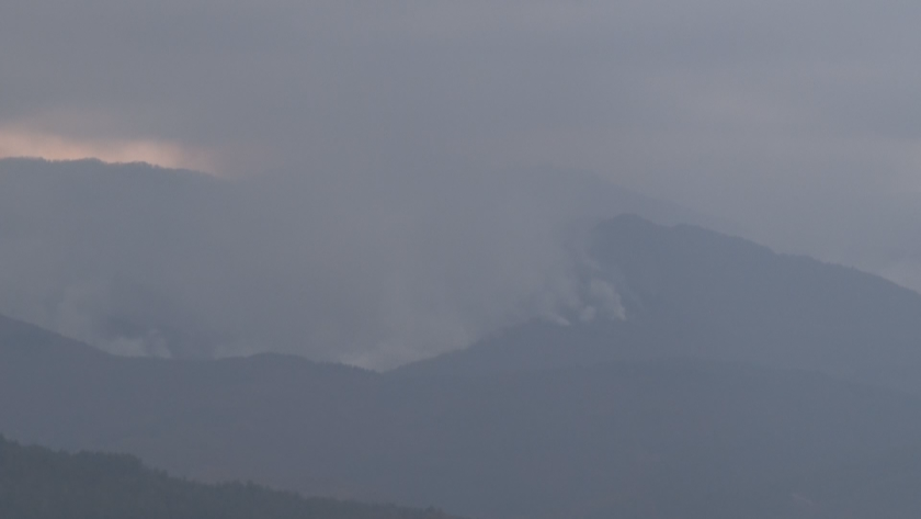 пожар гори иглолистна гора кирково огънят обхванал площ